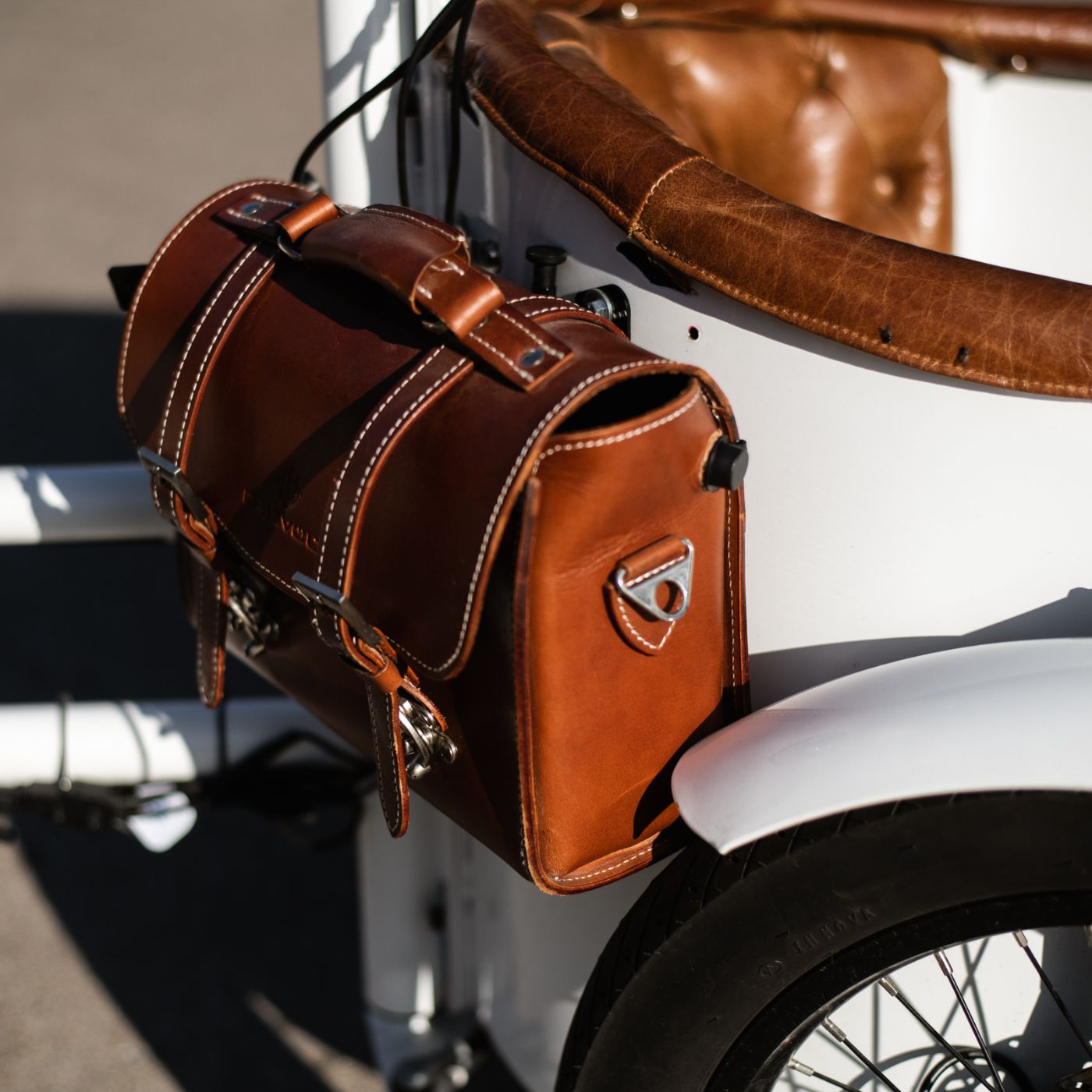 Rayvolt Trixie Cargo Bike - Where Style Meets Practicality