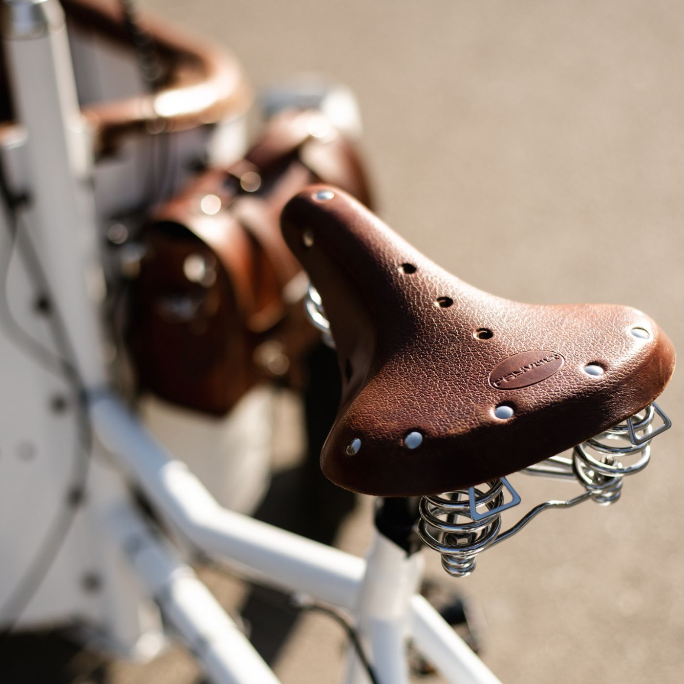 Elegant Family Transport: Rayvolt Trixie Cargo Bike