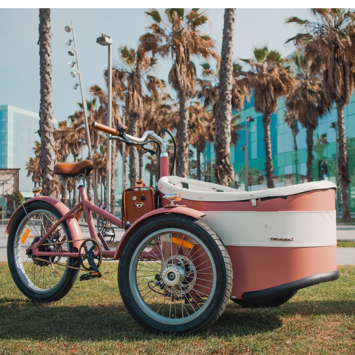 Stylish Cargo Bike: Rayvolt Trixie - Perfect for Family Adventures