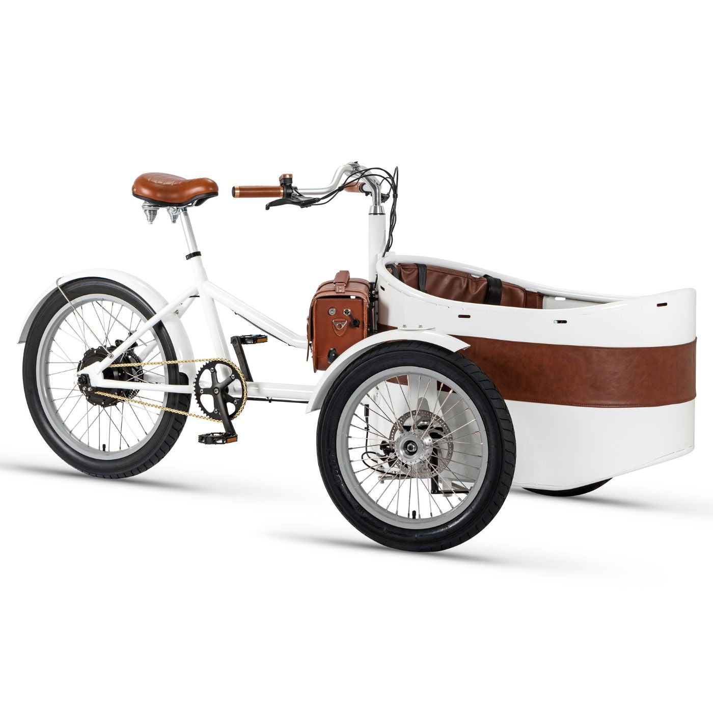 Urban Family Mobility Solution: Rayvolt Trixie Cargo Tricycle