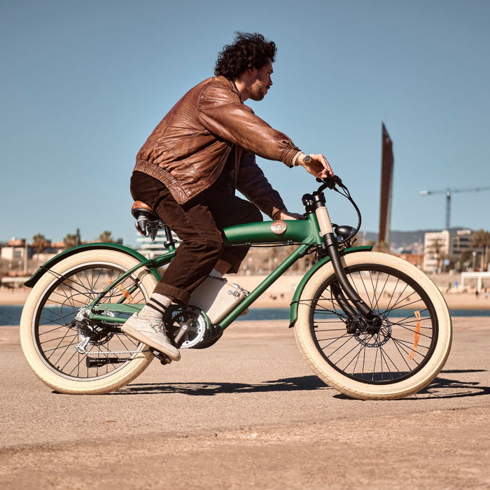 Rayvolt Clubman - Sophisticated Electric City Bike for Elegant Journey